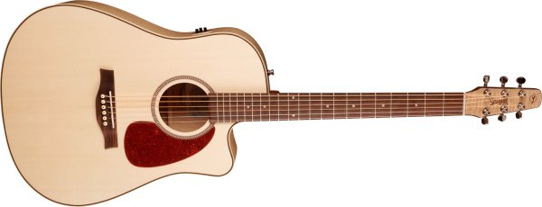 Фото Seagull Performer CW QIT Flame Maple HG